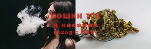 соль ск Бородино