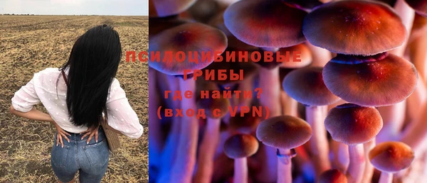 соль курить ск Богородицк