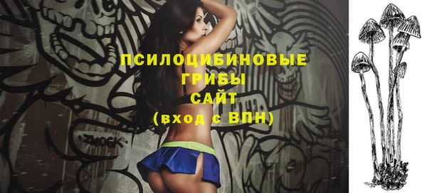 соль ск Бородино