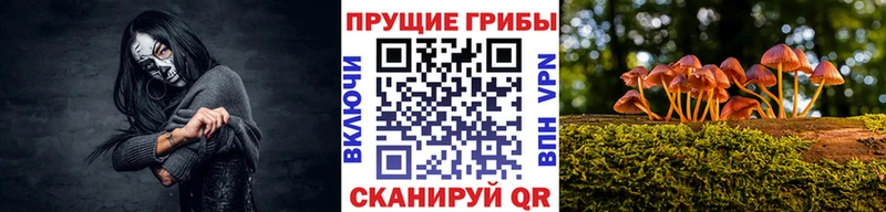Псилоцибиновые грибы GOLDEN TEACHER  Облучье 